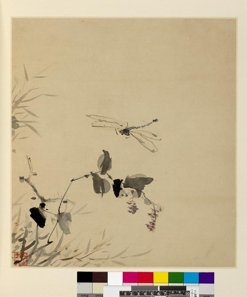 图片[19]-album; painting BM-1951-0407-0.2.1-10-China Archive